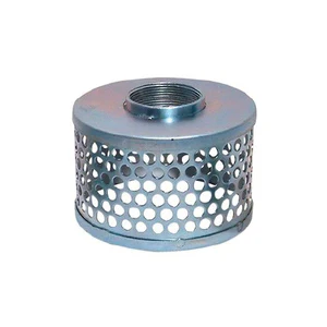 2 in. FIP Round Hole Strainer