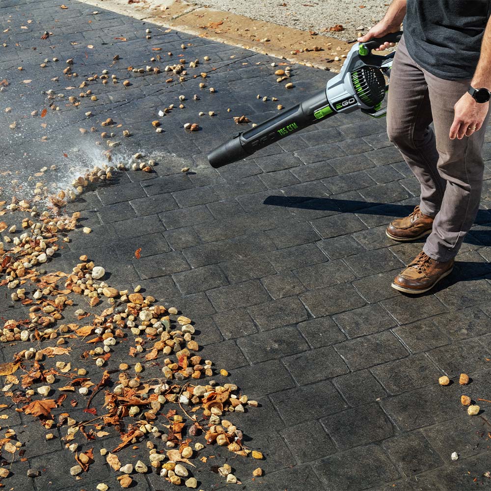 EGO LB7654 56V POWER+ 765 CFM Leaf Blower Kit (w/5.0 Ah battery) - Image 2