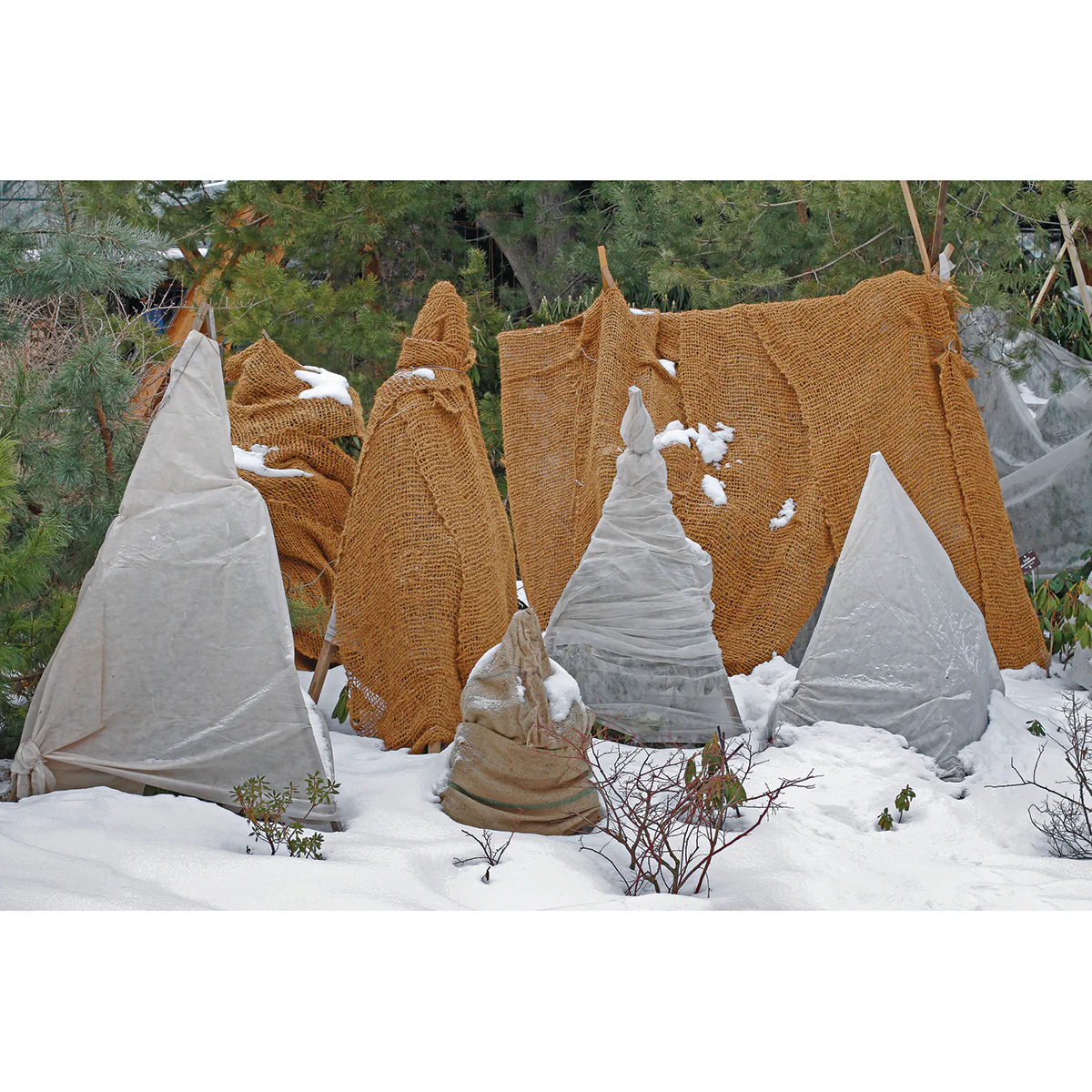 PROYARD 184028 NATURAL BURLAP ALL SEASON WRAP 40 Inches X 100feet - Image 3